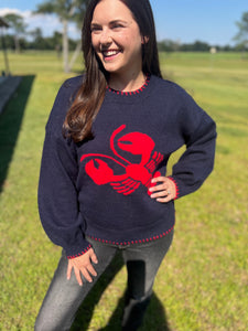 Shay sweater navy with red lobster