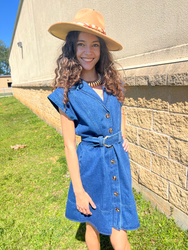 Belinda dark denim dress